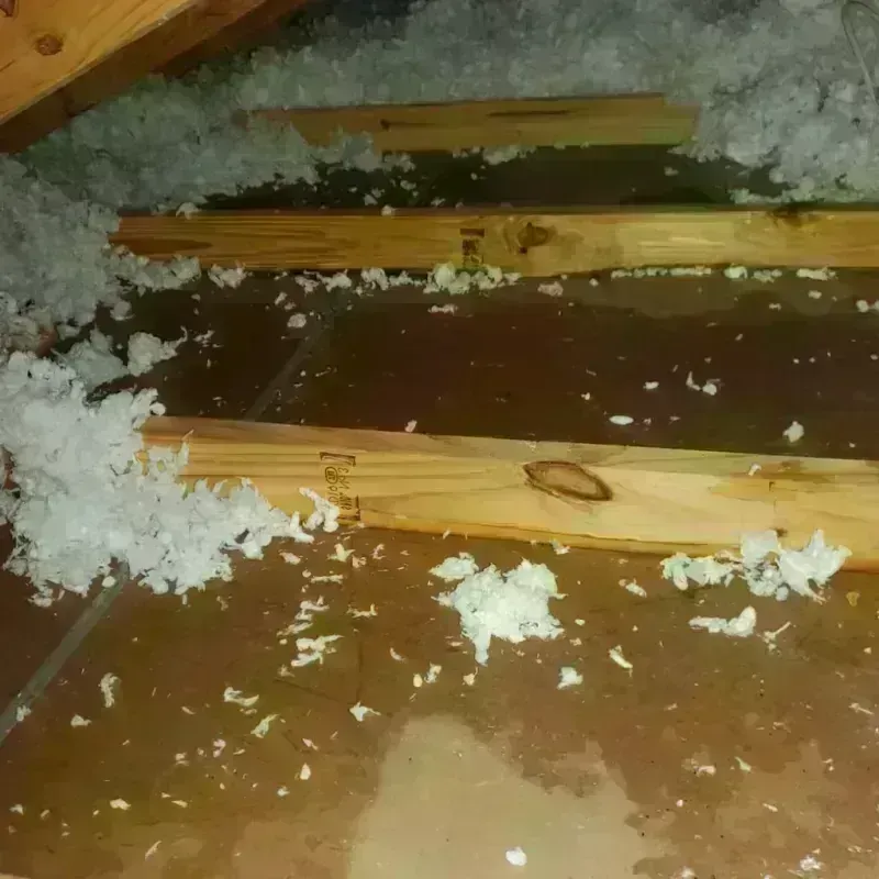 Attic Water Damage in Short Pump, VA