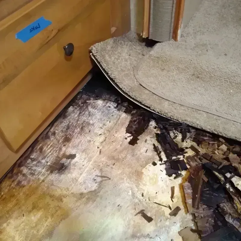 Wood Floor Water Damage in Short Pump, VA